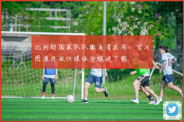 比利时国家队队徽高清发布，官方图源开放供媒体与球迷下载