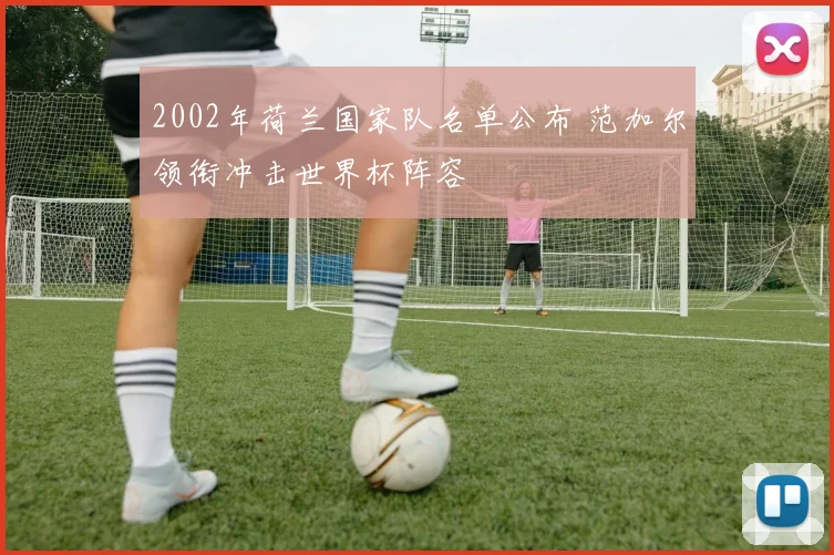 2002年荷兰国家队名单公布 范加尔领衔冲击世界杯阵容