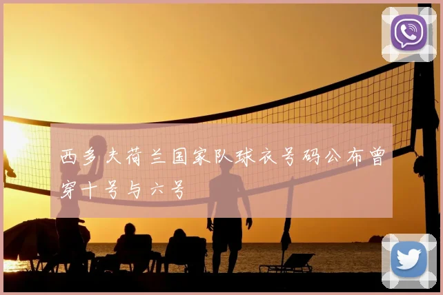 西多夫荷兰国家队球衣号码公布曾穿十号与六号