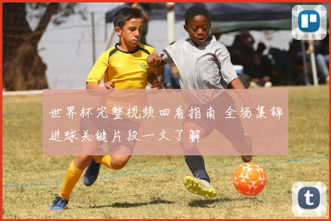 世界杯完整视频回看指南 全场集锦进球关键片段一文了解