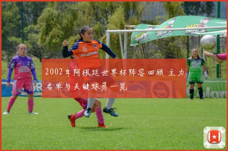 2002年阿根廷世界杯阵容回顾 主力名单与关键球员一览