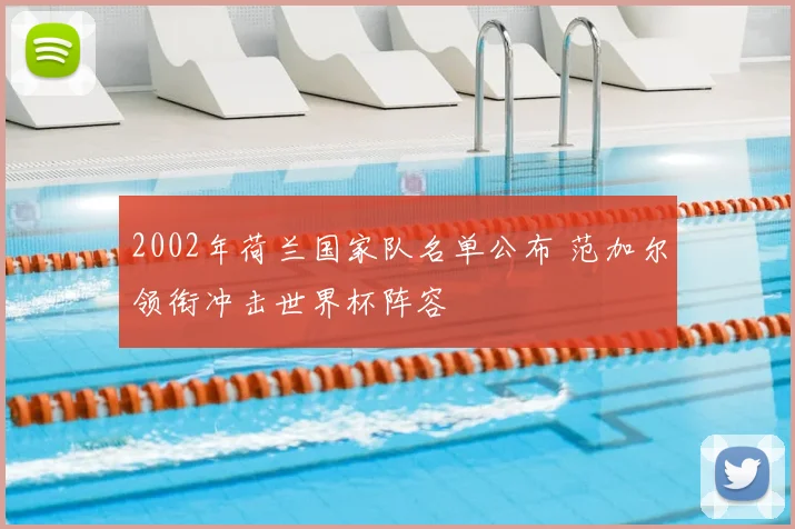 2002年荷兰国家队名单公布 范加尔领衔冲击世界杯阵容