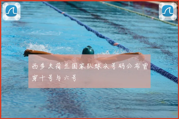 西多夫荷兰国家队球衣号码公布曾穿十号与六号