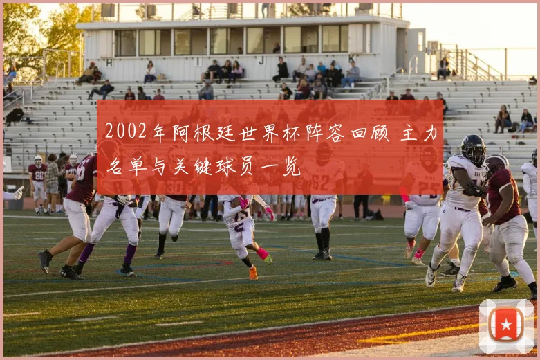 2002年阿根廷世界杯阵容回顾 主力名单与关键球员一览