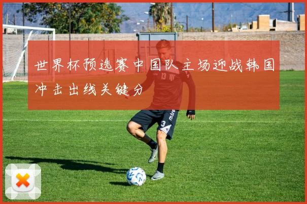 世界杯预选赛中国队主场迎战韩国冲击出线关键分