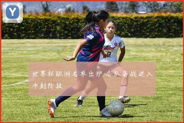世界杯欧洲名单出炉 各队备战进入冲刺阶段