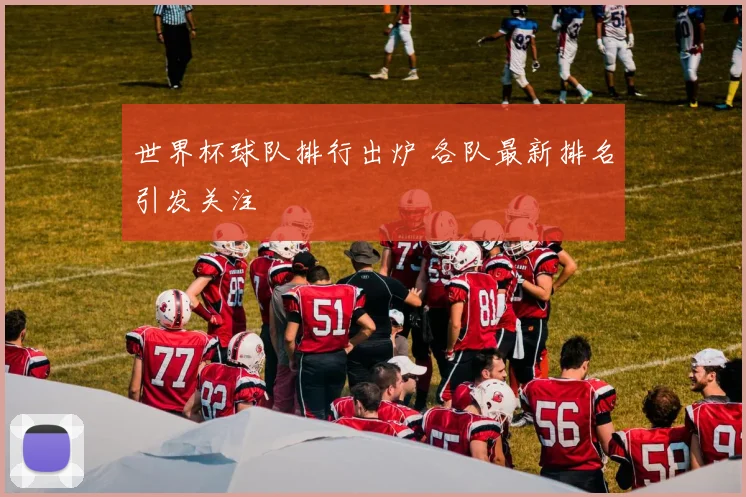 世界杯球队排行出炉 各队最新排名引发关注
