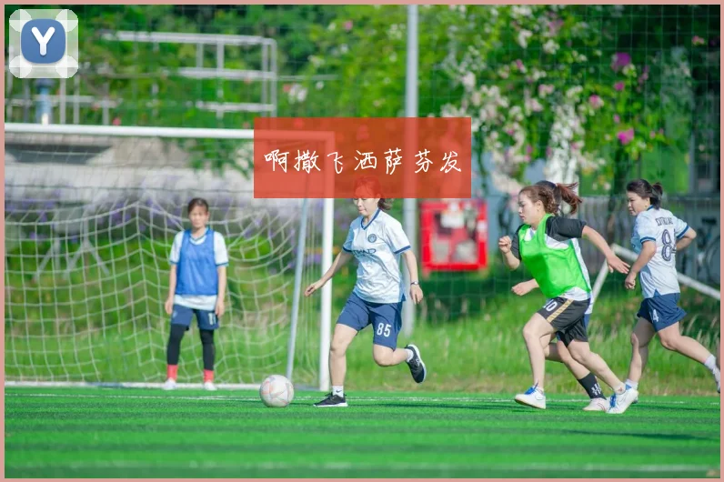 世界杯瑞典任意球攻势引关注 比赛看点持续升温