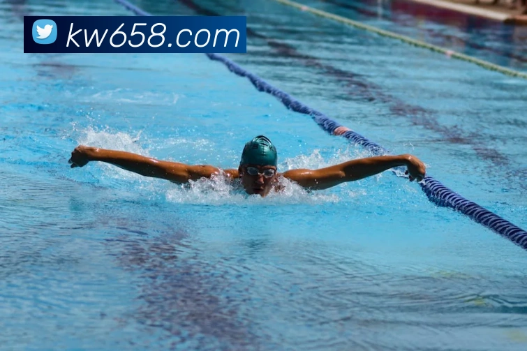 乐竞体育首页官网平台生态图